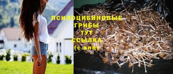 кокс Алексеевка