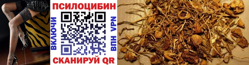 Галлюциногенные грибы Cubensis  купить   кракен ССЫЛКА  Когалым 